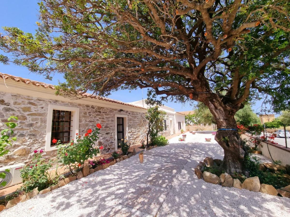 Stazzo San Teodoro La Quercia Piscina Condivisa Lejlighed Eksteriør billede