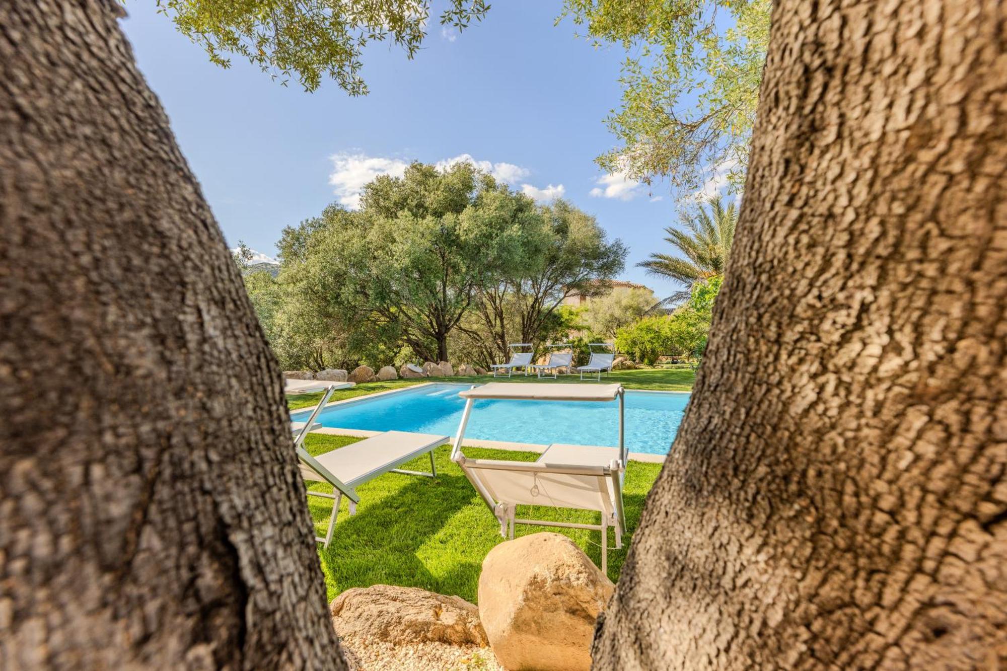Stazzo San Teodoro La Quercia Piscina Condivisa Lejlighed Eksteriør billede
